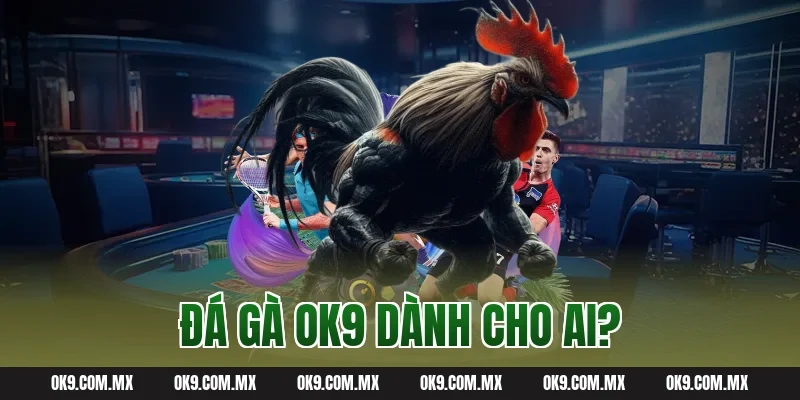 Đá gà OK9 dành cho ai?