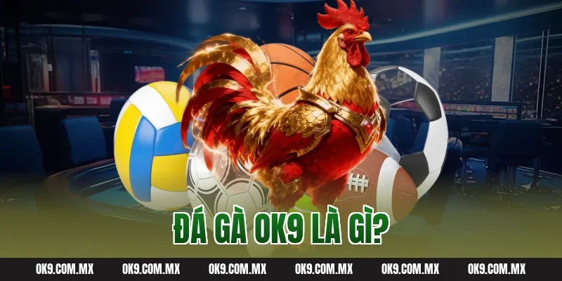 Đá gà OK9 là gì?